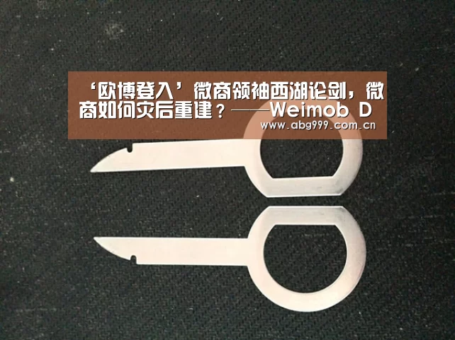 ‘欧博登入’微商领袖西湖论剑,微商如何灾后重建?——Weimob Day杭州站暨第二届微盟微商论坛在杭州举行(图1) 欧博登入