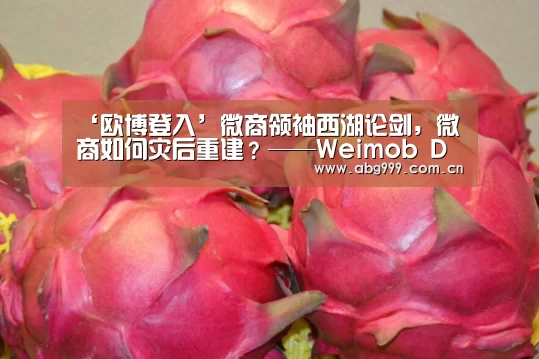 ‘欧博登入’微商领袖西湖论剑,微商如何灾后重建?——Weimob Day杭州站暨第二届微盟微商论坛在杭州举行(图2) 欧博登入