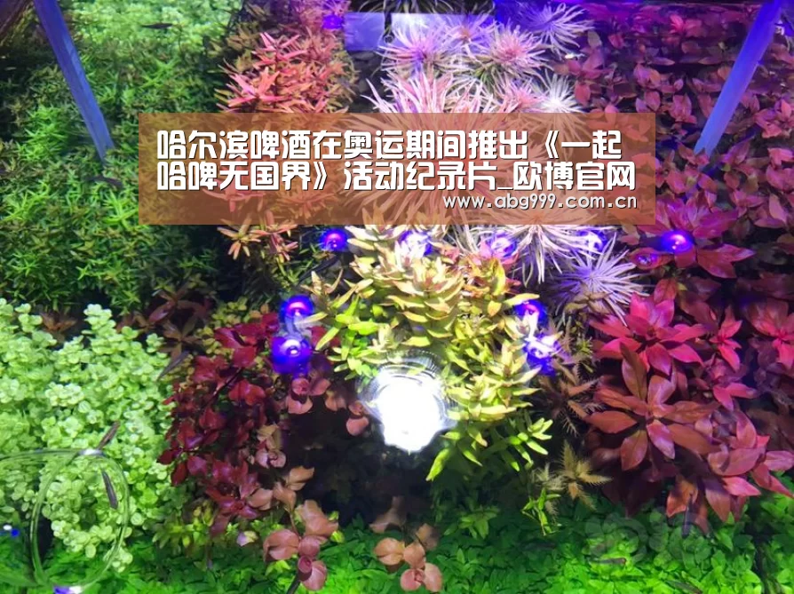欧博娱乐