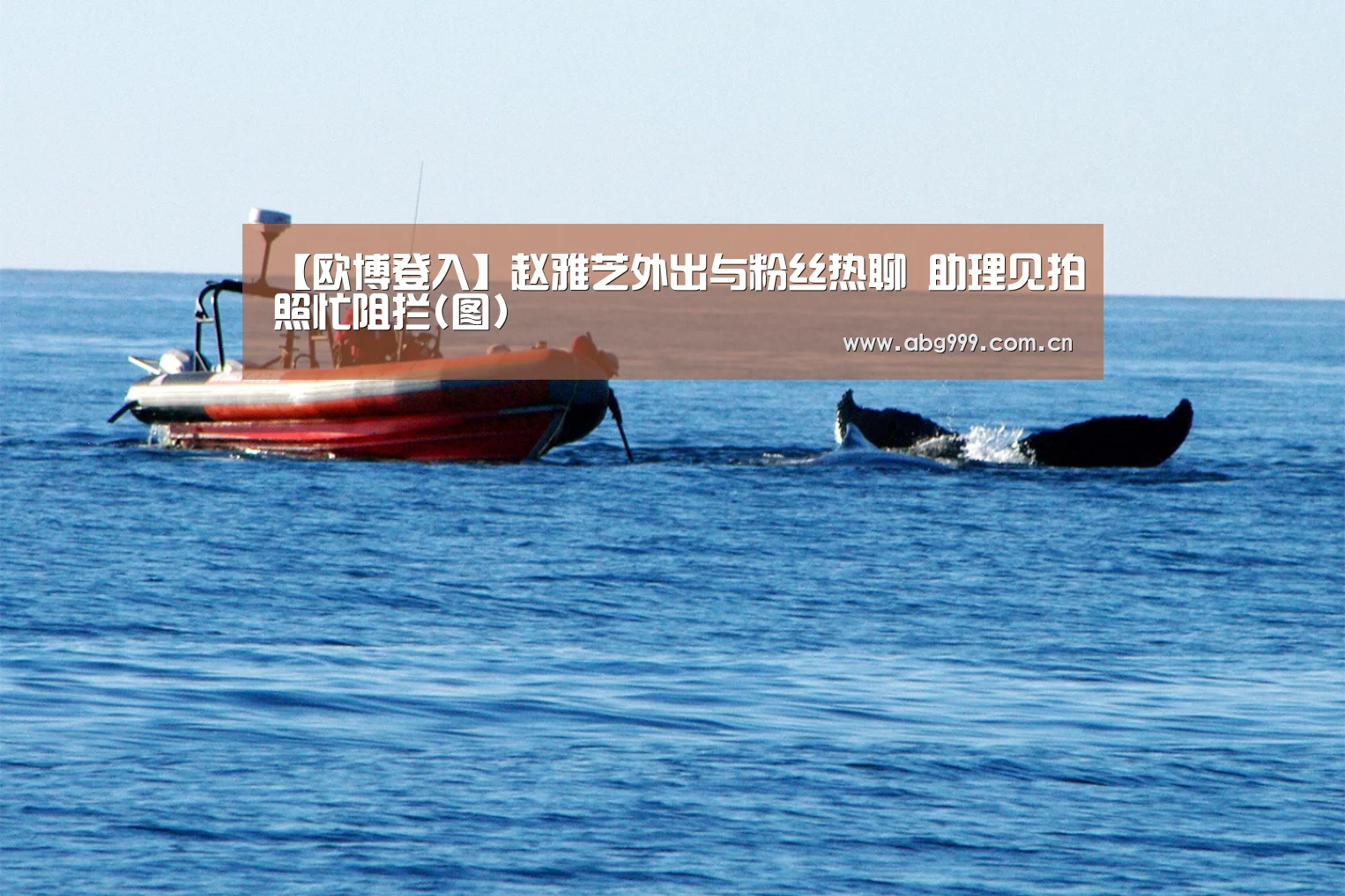 欧博登入